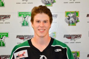 Getting To Know The Terriers In 20 Questions | Portage Terriers