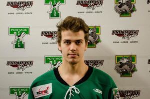 Getting To Know The Terriers In 20 Questions | Portage Terriers